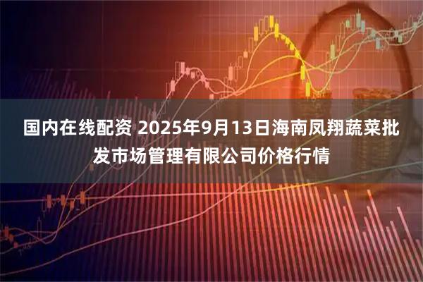 国内在线配资 2025年9月13日海南凤翔蔬菜批发市场管理有限公司价格行情