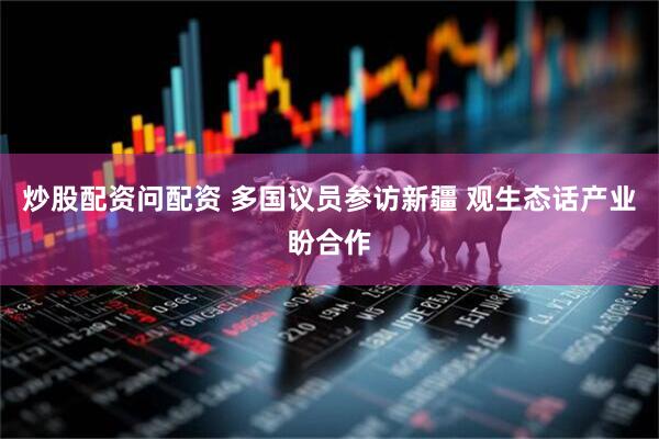 炒股配资问配资 多国议员参访新疆 观生态话产业盼合作