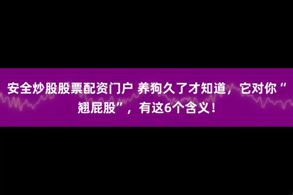安全炒股股票配资门户 养狗久了才知道，它对你“翘屁股”，有这6个含义！