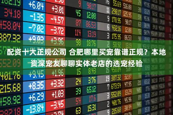 配资十大正规公司 合肥哪里买宠靠谱正规?本地资深宠友聊聊实体老店的选宠经验