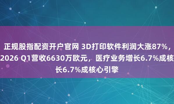 正规股指配资开户官网 3D打印软件利润大涨87%，玛瑞斯2026 Q1营收6630万欧元，医疗业务增长6.7%成核心引擎